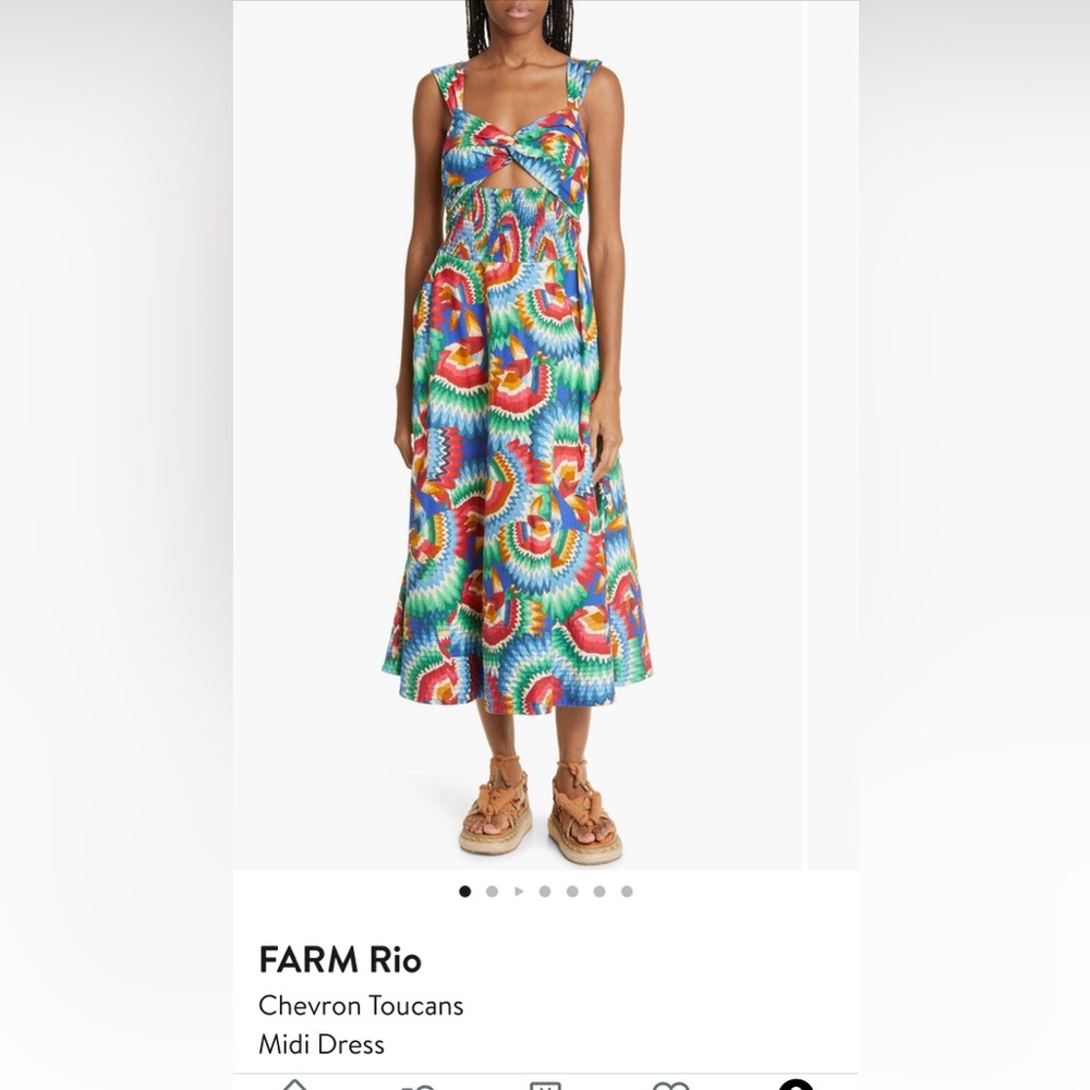 FARM Rio Multicolor Maxi Dress